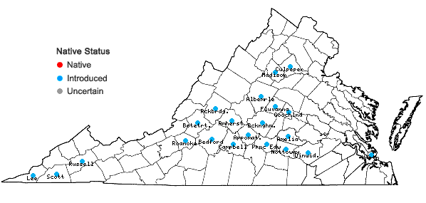 Locations ofAcalypha ostryifolia Riddell in Virginia