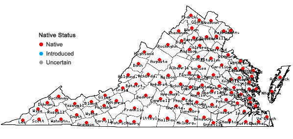 Locations ofAcalypha rhomboidea Raf. in Virginia