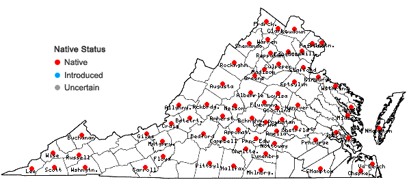 Locations ofAcalypha virginica L. in Virginia