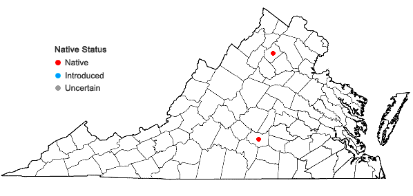 Locations ofAcaulon muticum (Hedw.) Müll. Hal. var. rufescens (A. Jaeger) H.A. Crum in Virginia