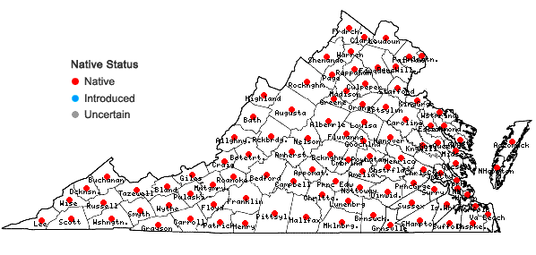 Locations ofAcer negundo L. var. negundo in Virginia