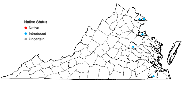 Locations ofAcer palmatum Thunb. in Virginia