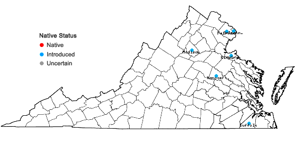 Locations ofAcer palmatum Thunb. in Virginia