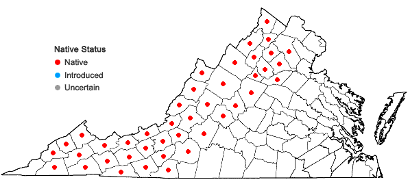 Locations ofAcer pensylvanicum L. in Virginia