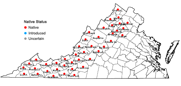 Locations ofAcer pensylvanicum L. in Virginia