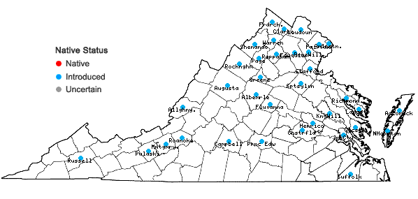 Locations ofAcer platanoides L. in Virginia