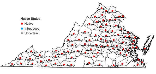 Locations ofAcer saccharinum L. in Virginia