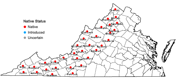 Locations ofAcer spicatum Lamarck in Virginia