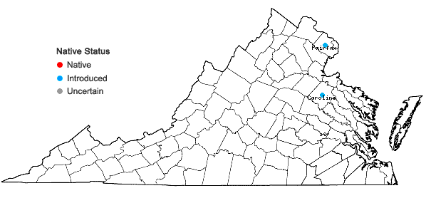 Locations ofAchyranthes japonica (Miq.) Nakai var. hachijoensis Honda in Virginia