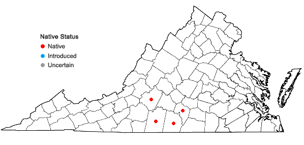 Locations ofAcmispon helleri (Britt.) A.A. Heller in Virginia