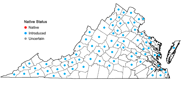 Locations ofAcorus calamus L. in Virginia