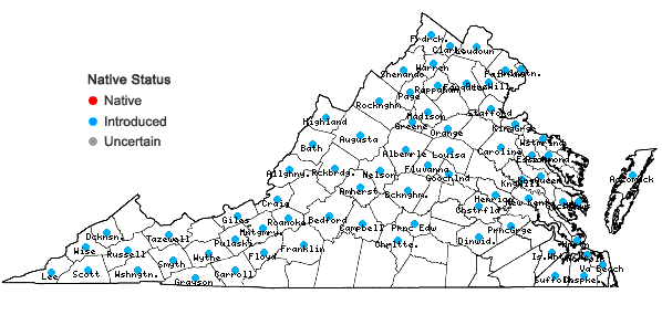 Locations ofAcorus calamus L. in Virginia