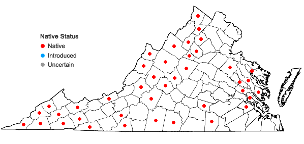 Locations ofActaea pachypoda Ell. in Virginia