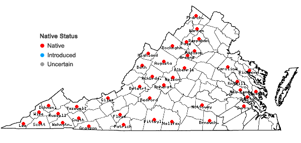 Locations ofActaea pachypoda Ell. in Virginia