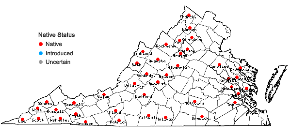 Locations ofActaea pachypoda Ell. in Virginia