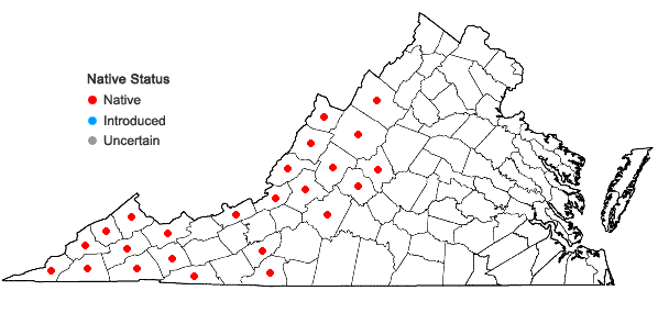 Locations ofActaea podocarpa DC. in Virginia