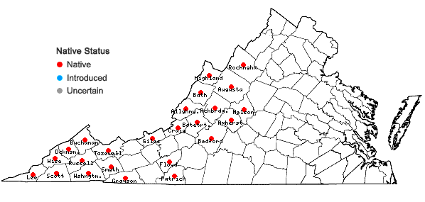 Locations ofActaea podocarpa DC. in Virginia