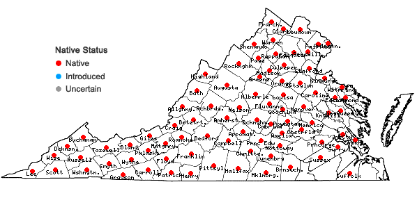 Locations ofActaea racemosa L. in Virginia