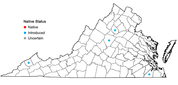 Locations ofActinidia chinensis Planch. in Virginia