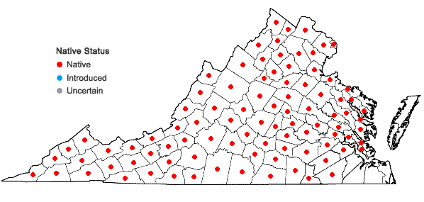 Locations ofAdiantum pedatum L. in Virginia