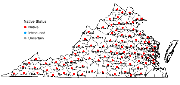 Locations ofAdiantum pedatum L. in Virginia