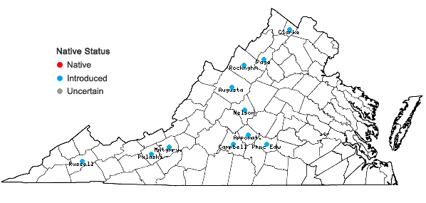 Locations ofAegilops cylindrica Host in Virginia