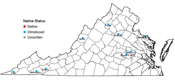 Locations ofAegopodium podagraria L. in Virginia