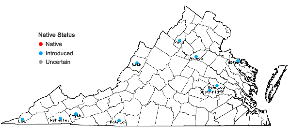 Locations ofAegopodium podagraria L. in Virginia