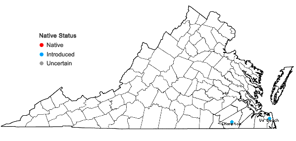 Locations ofAeschynomene indica L. in Virginia