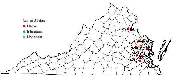 Locations ofAeschynomene virginica (L.) B.S.P. in Virginia