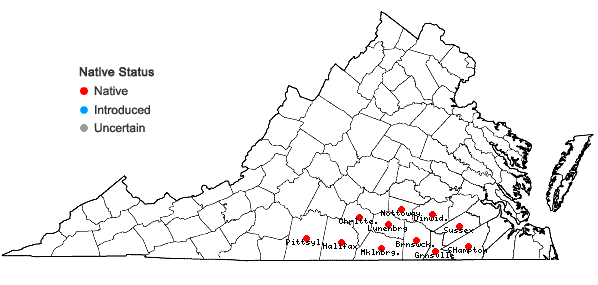 Locations ofAesculus sylvatica Bartr. in Virginia