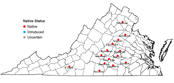 Locations ofAgalinis decemloba (Greene) Pennell in Virginia