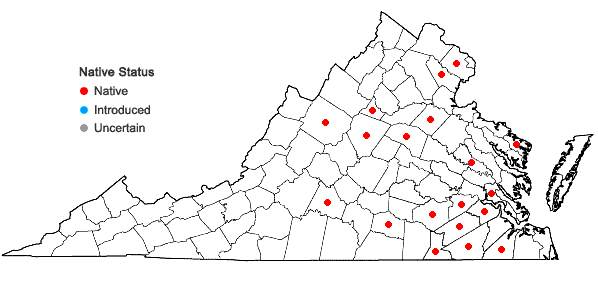 Locations ofAgalinis obtusifolia Raf. in Virginia