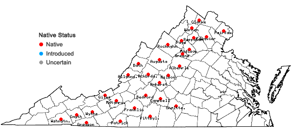 Locations ofAgastache scrophulariifolia (Willd.) Kuntze in Virginia