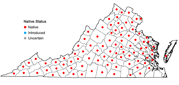Locations ofAgeratina altissima (L.) King & H.E. Robins. var. altissima in Virginia