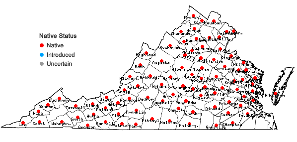 Locations ofAgeratina altissima (L.) King & H.E. Robins.  in Virginia