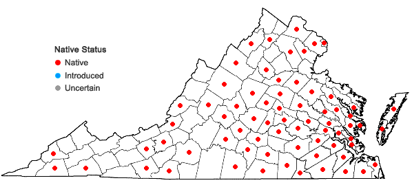 Locations ofAgeratina aromatica (L.) Spach in Virginia