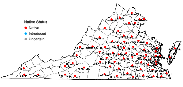 Locations ofAgeratina aromatica (L.) Spach in Virginia