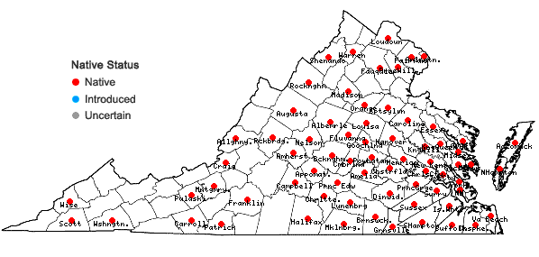 Locations ofAgeratina aromatica (L.) Spach in Virginia