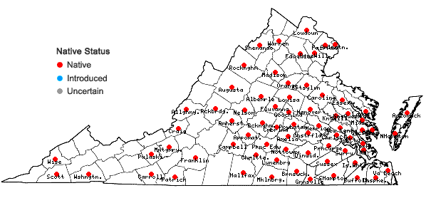 Locations ofAgeratina aromatica (L.) Spach in Virginia
