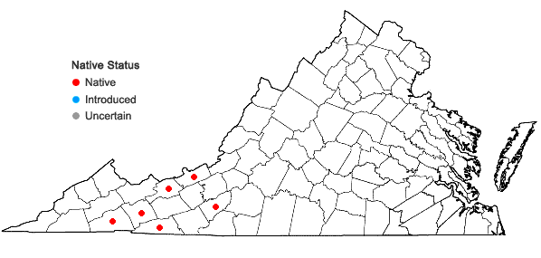 Locations ofAgeratina roanensis (Small) E.E. Lamont in Virginia