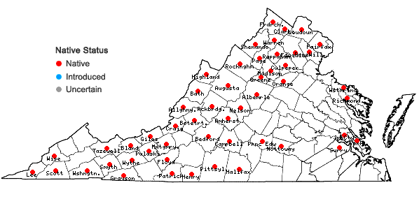 Locations ofAgrimonia gryposepala Wallr. in Virginia