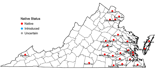 Locations ofAgrimonia microcarpa Wallr. in Virginia