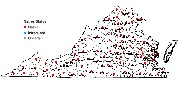 Locations ofAgrimonia parviflora Ait. in Virginia
