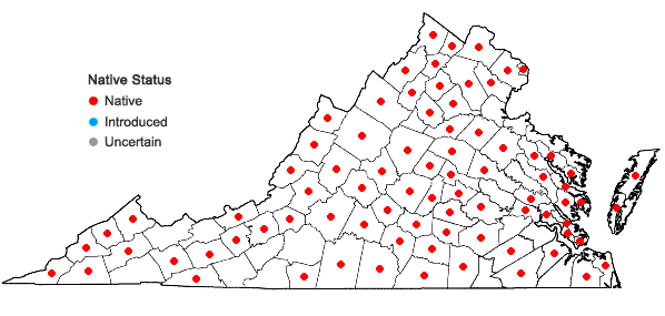 Locations ofAgrimonia pubescens Wallr. in Virginia