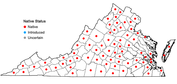 Locations ofAgrimonia rostellata Wallr. in Virginia