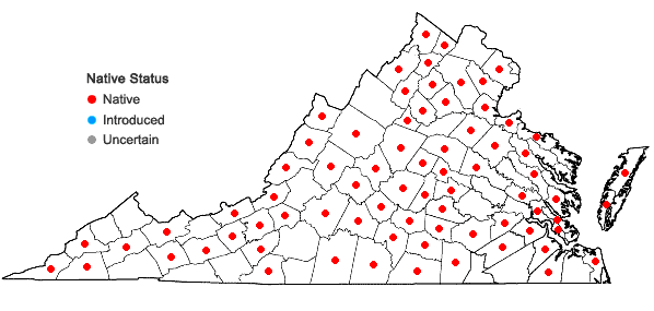 Locations ofAgrimonia rostellata Wallr. in Virginia