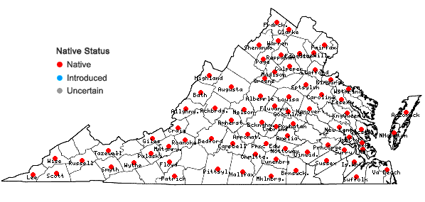 Locations ofAgrimonia rostellata Wallr. in Virginia