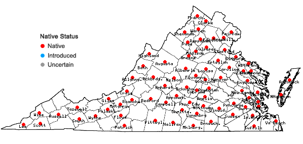 Locations ofAgrimonia rostellata Wallr. in Virginia