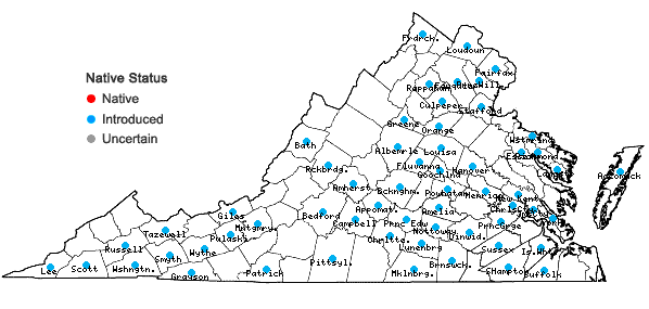 Locations ofAgrostemma githago L. var. githago in Virginia